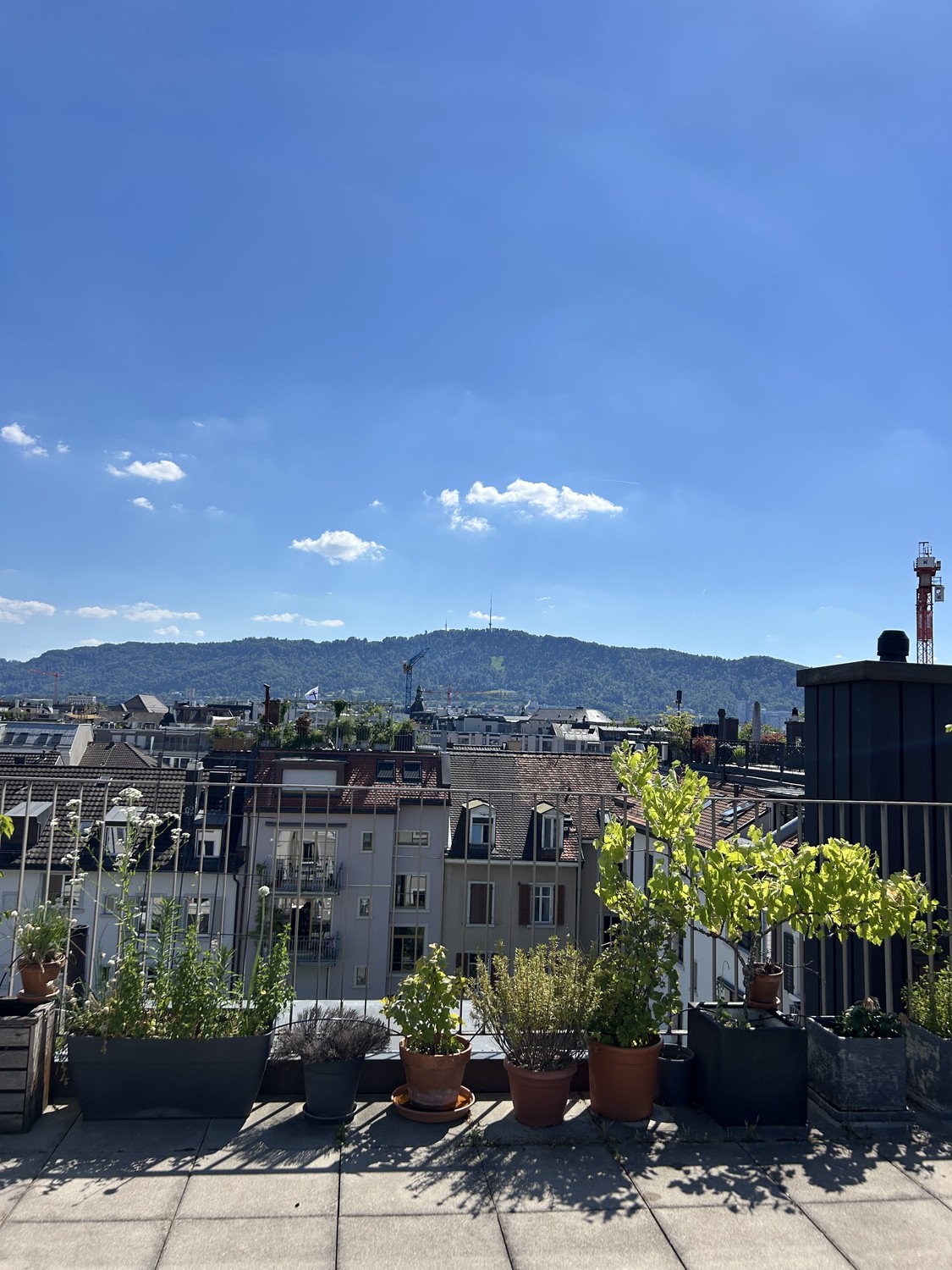 Chambre dans un appartement partagé