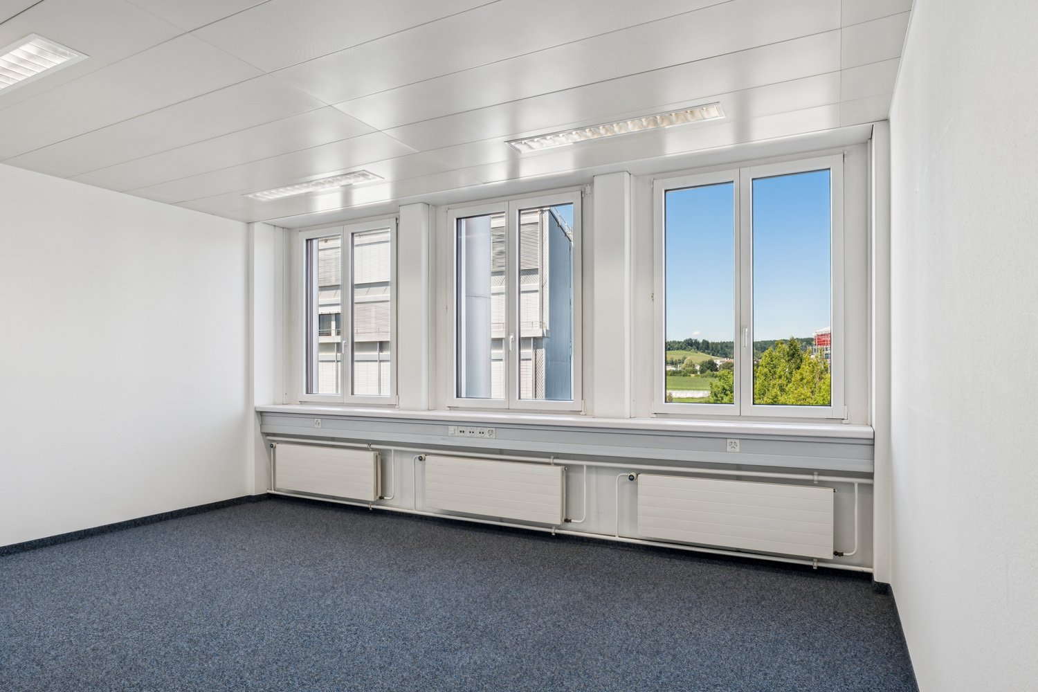 533m² bureau