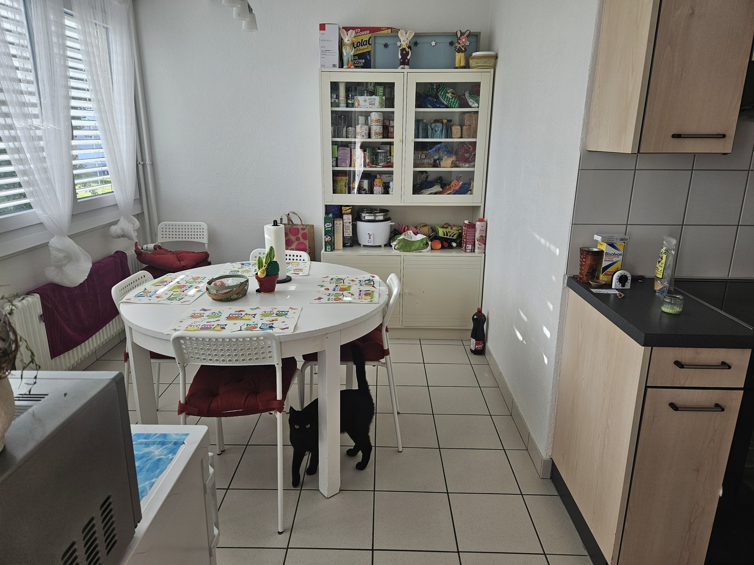 4 ½ rooms apartment, photo 3 sur 10