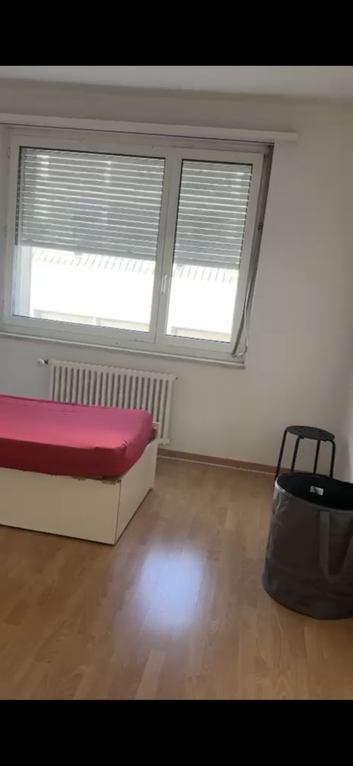 Chambre en colocation, photo 2 sur 3