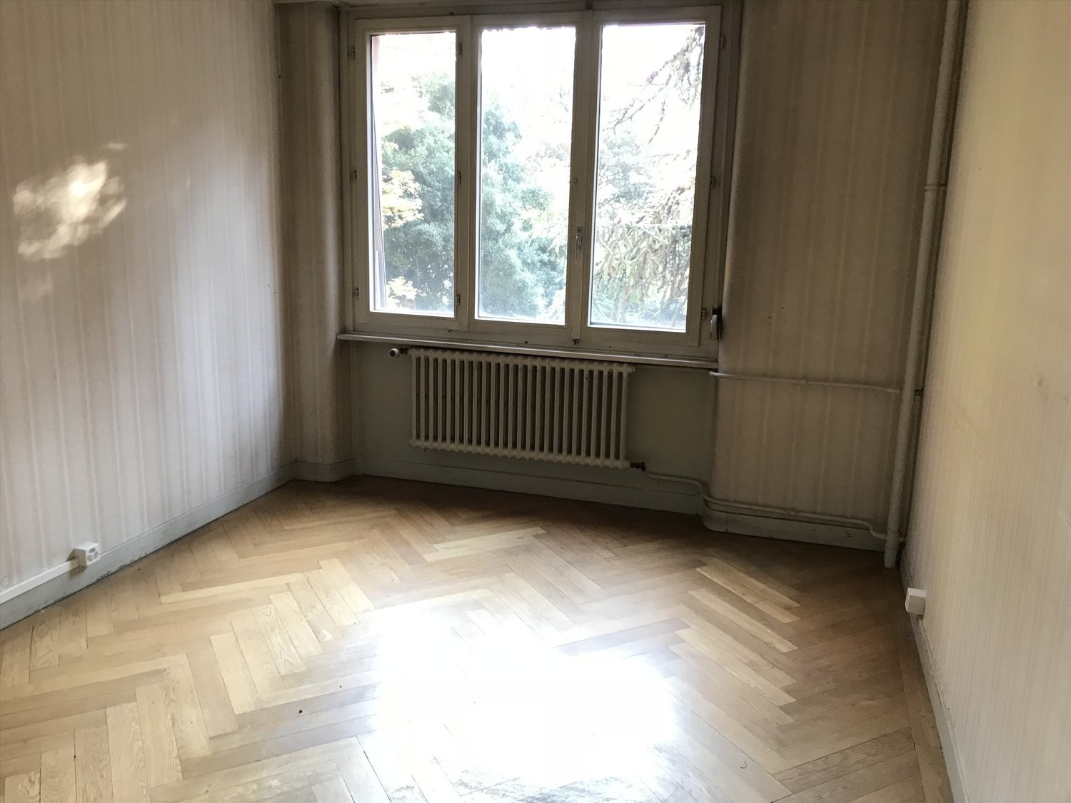 3 rooms apartment