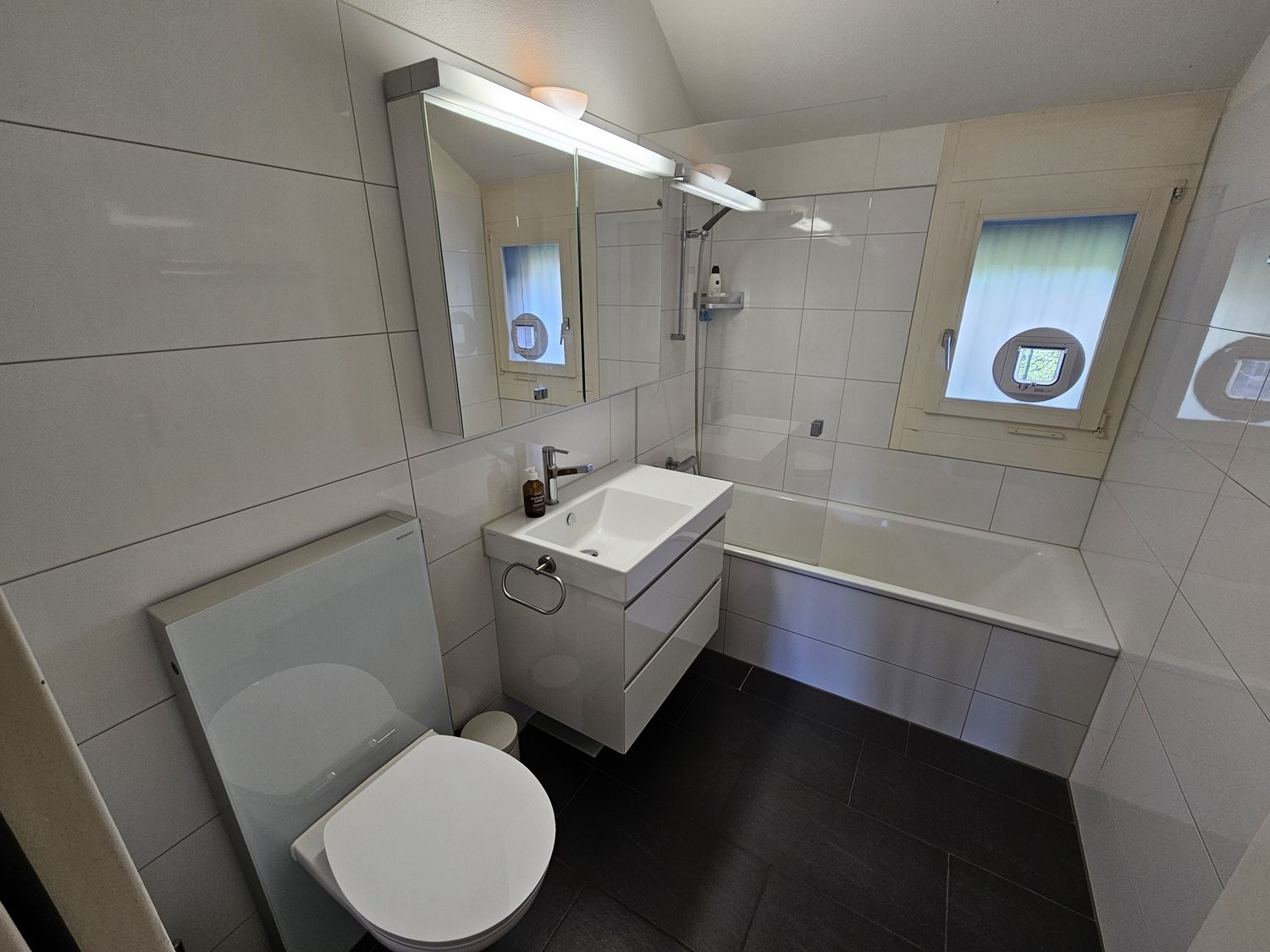 Appartement meublé de 3 ½ pièces