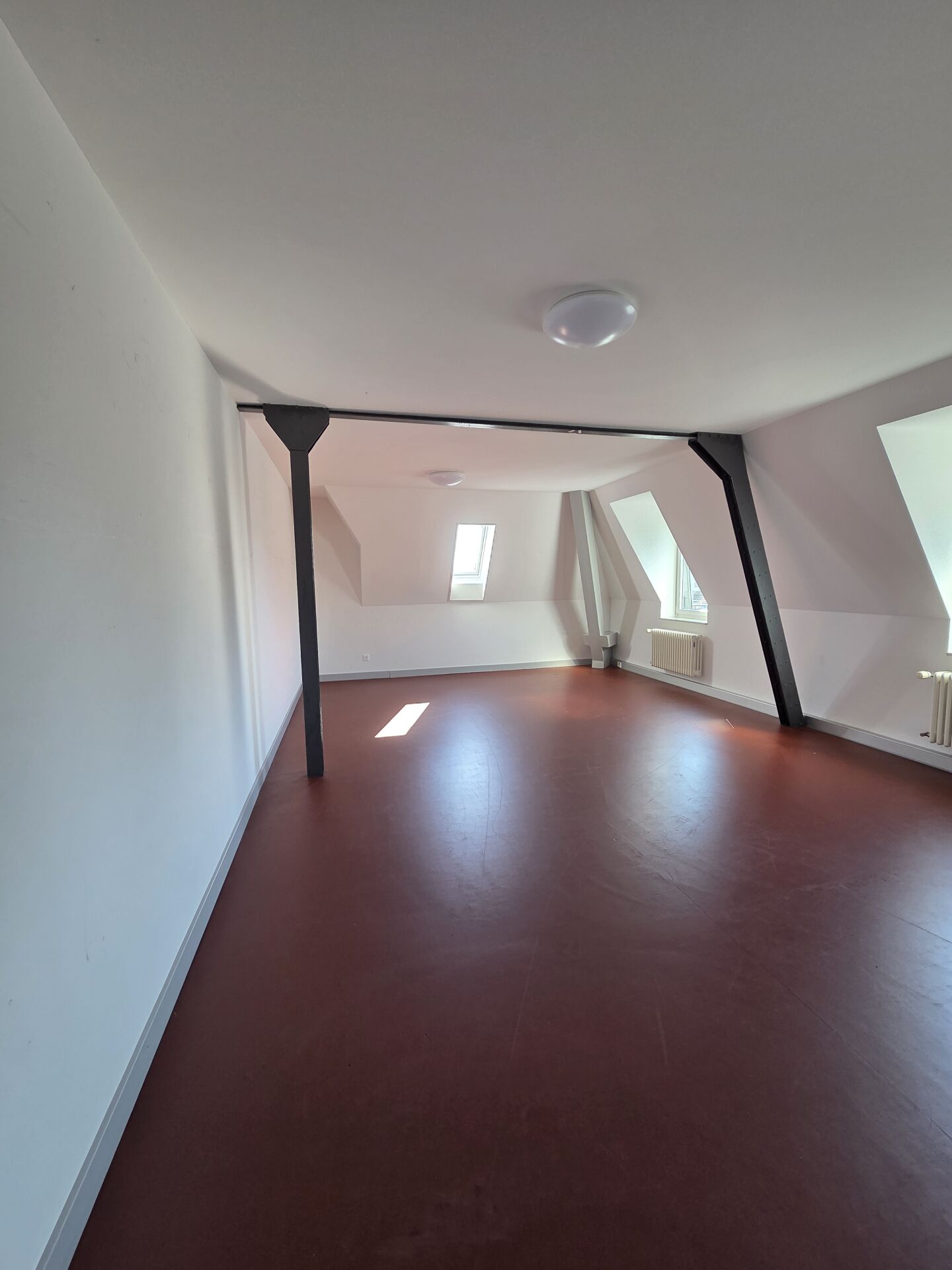 33m² pièce de loisirs, photo 2 sur 10
