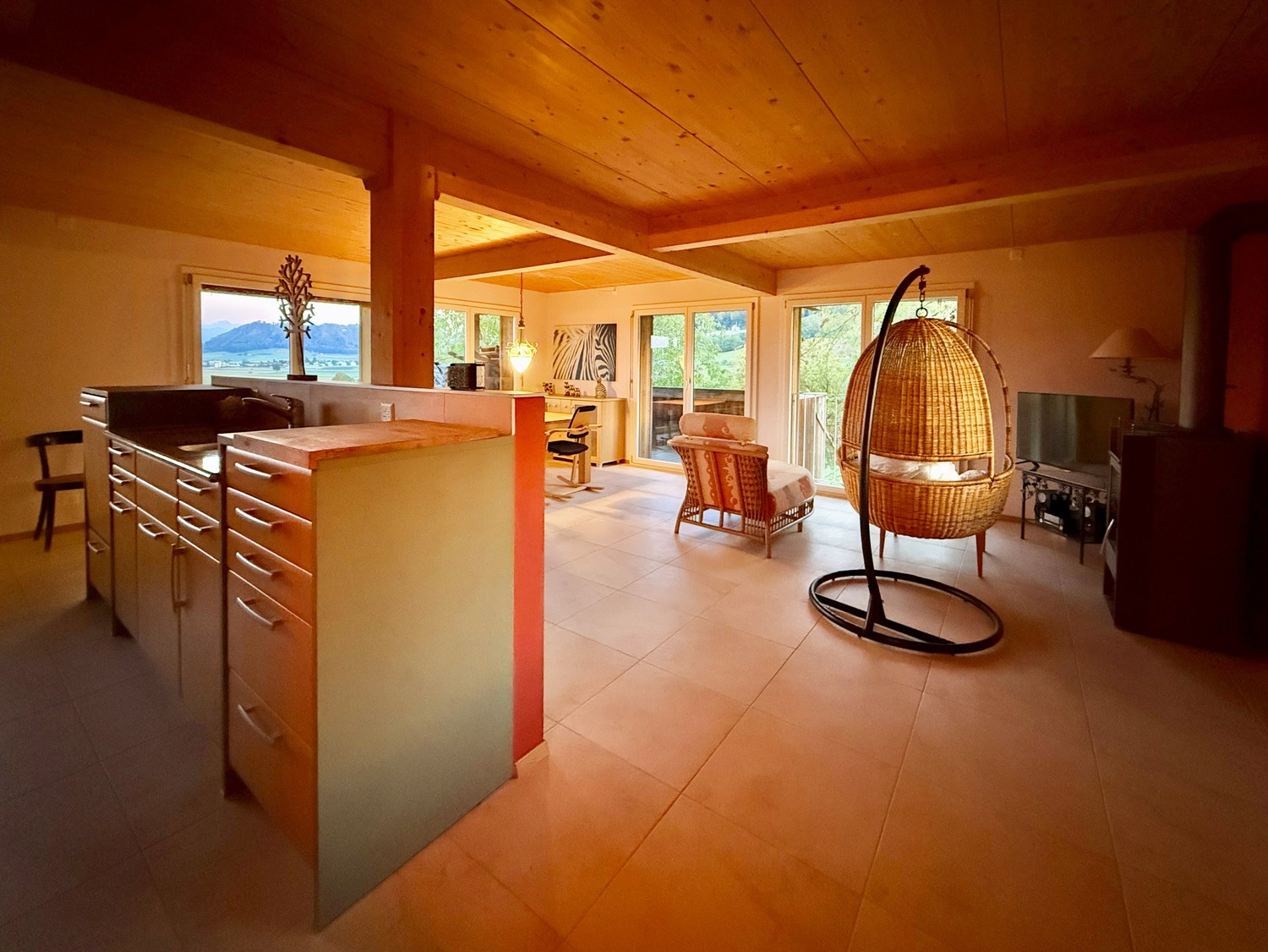 Appartement de 3 ½ pièces
