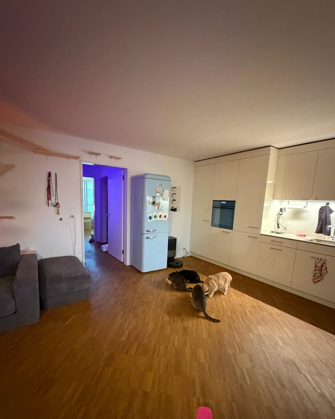 Appartement de 3 ½ pièces, photo 2 sur 10