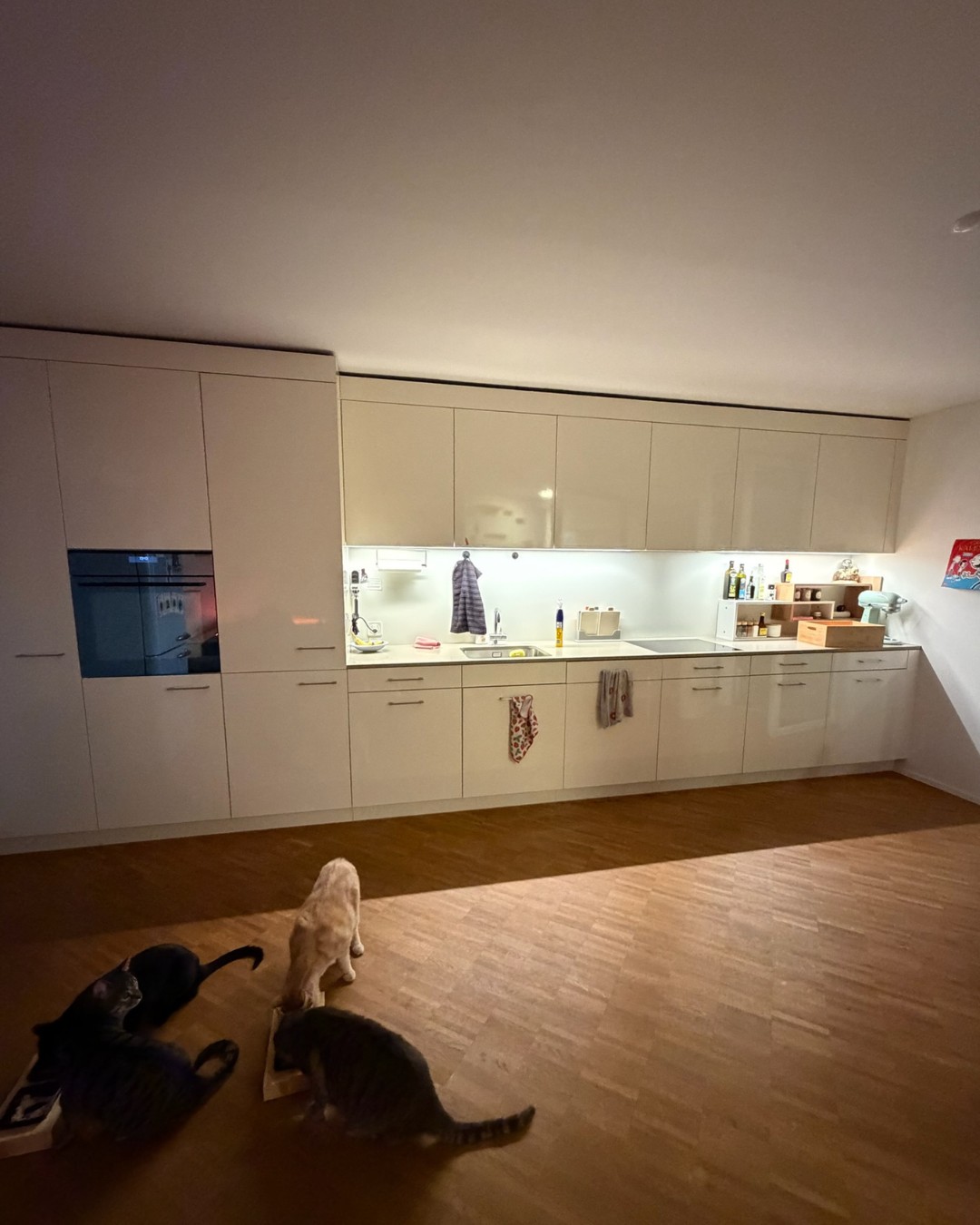 Appartement de 3 ½ pièces, photo 1 sur 10