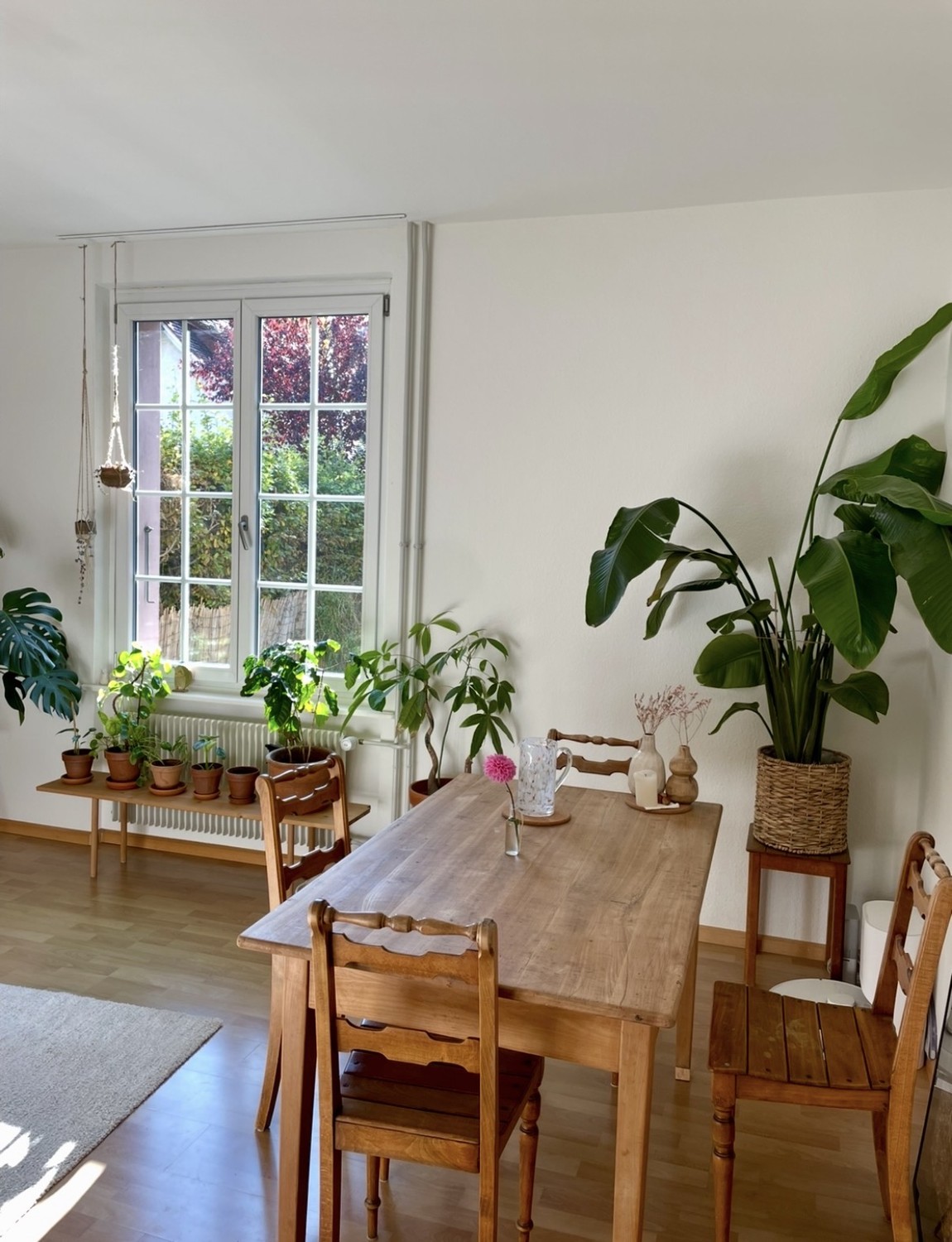 2 ½ rooms apartment, photo 2 sur 6