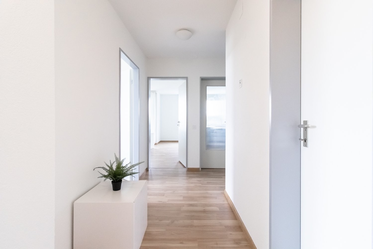 3 ½ pièces appartement, photo 3 sur 9