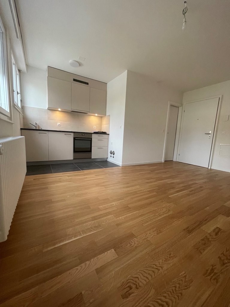 2 room apartment, photo 2 sur 4