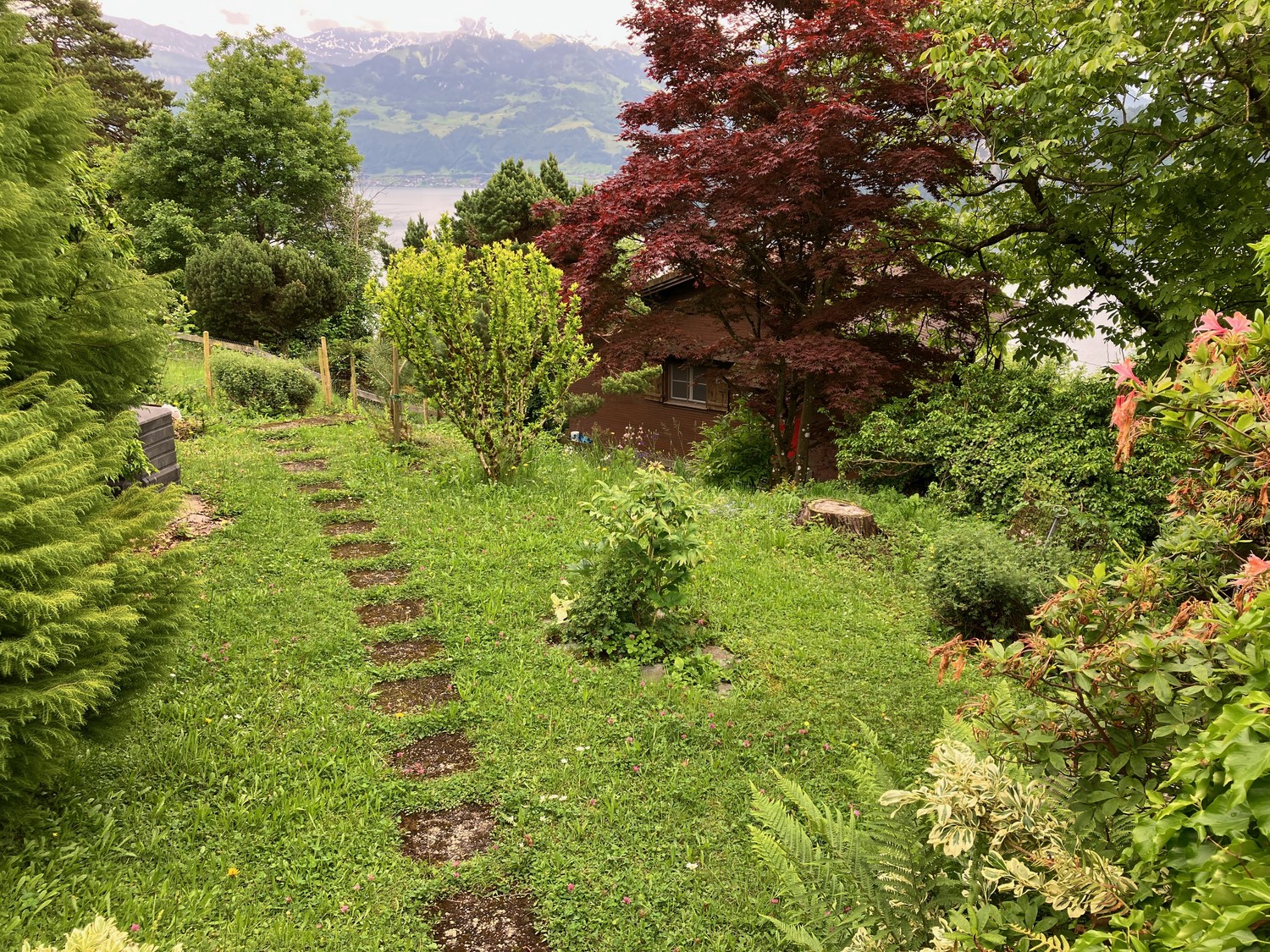 Maison individuelle de 4 pièces

Ce bien n'est certainement pas une beauté sortie d'un bureau d'études – le plan suit sa propre logique, et les puristes de l'architecture ne seront pas comblés ici. Mais quiconque se tient une fois sur la terrasse et contemple l'horizon par-dessus le jardin oubliera , photo 5 sur 5