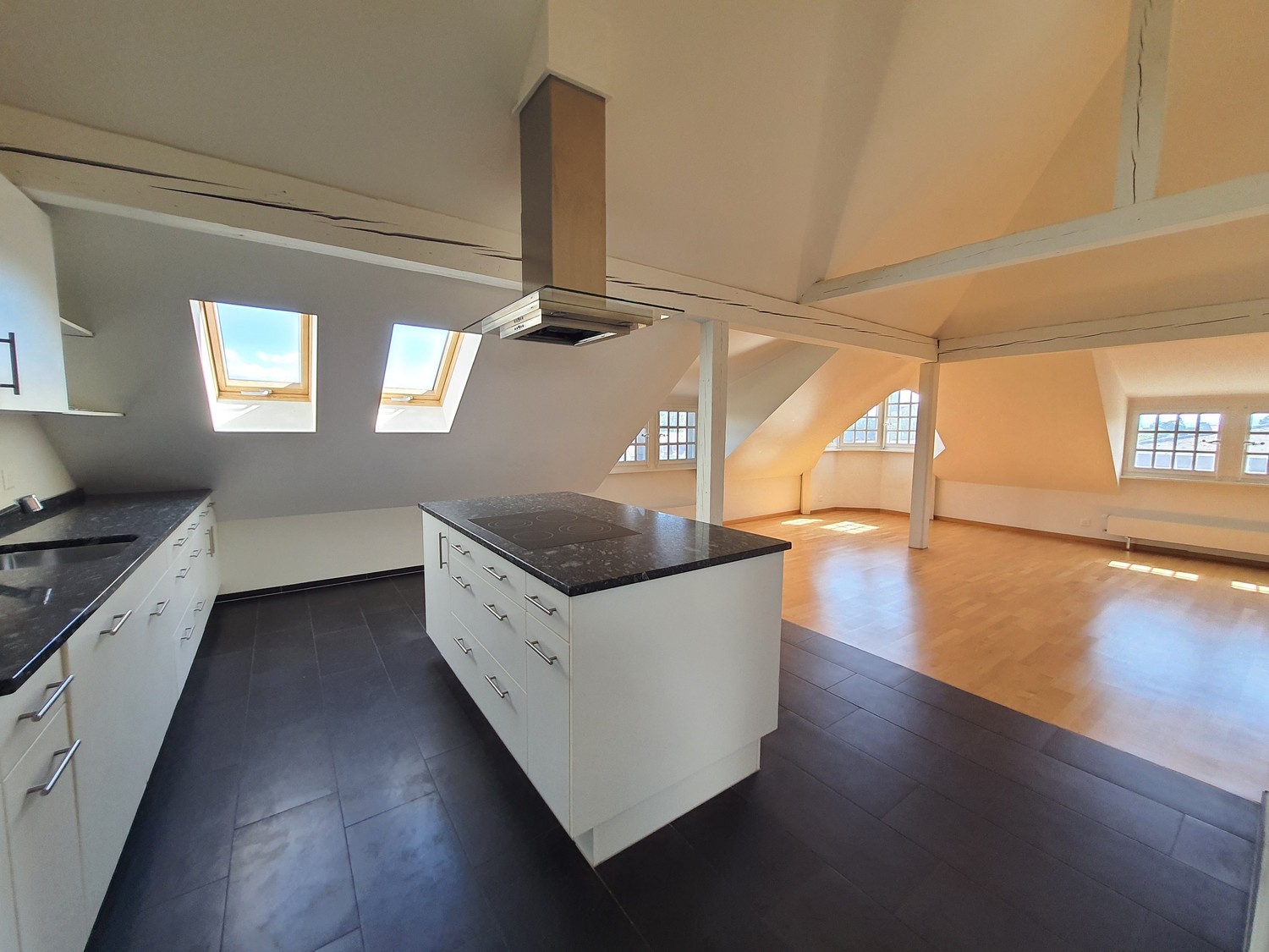 Appartement de 3 ½ pièces