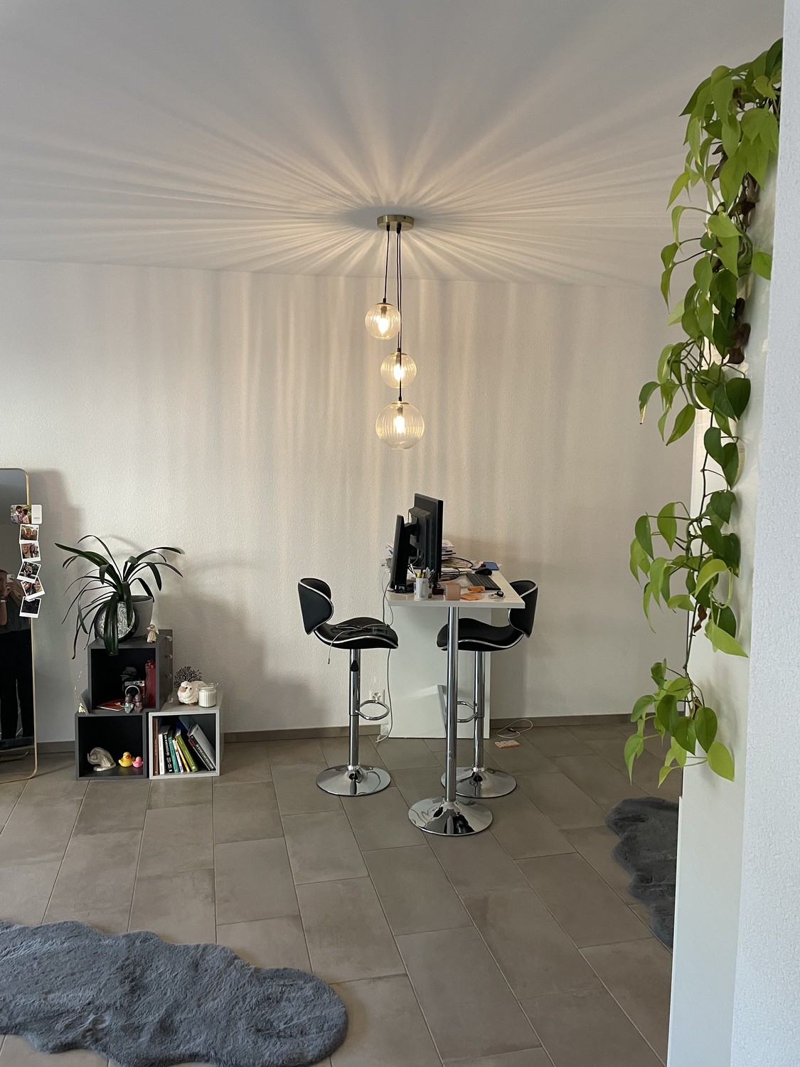 2 ½ rooms apartment, photo 2 sur 7
