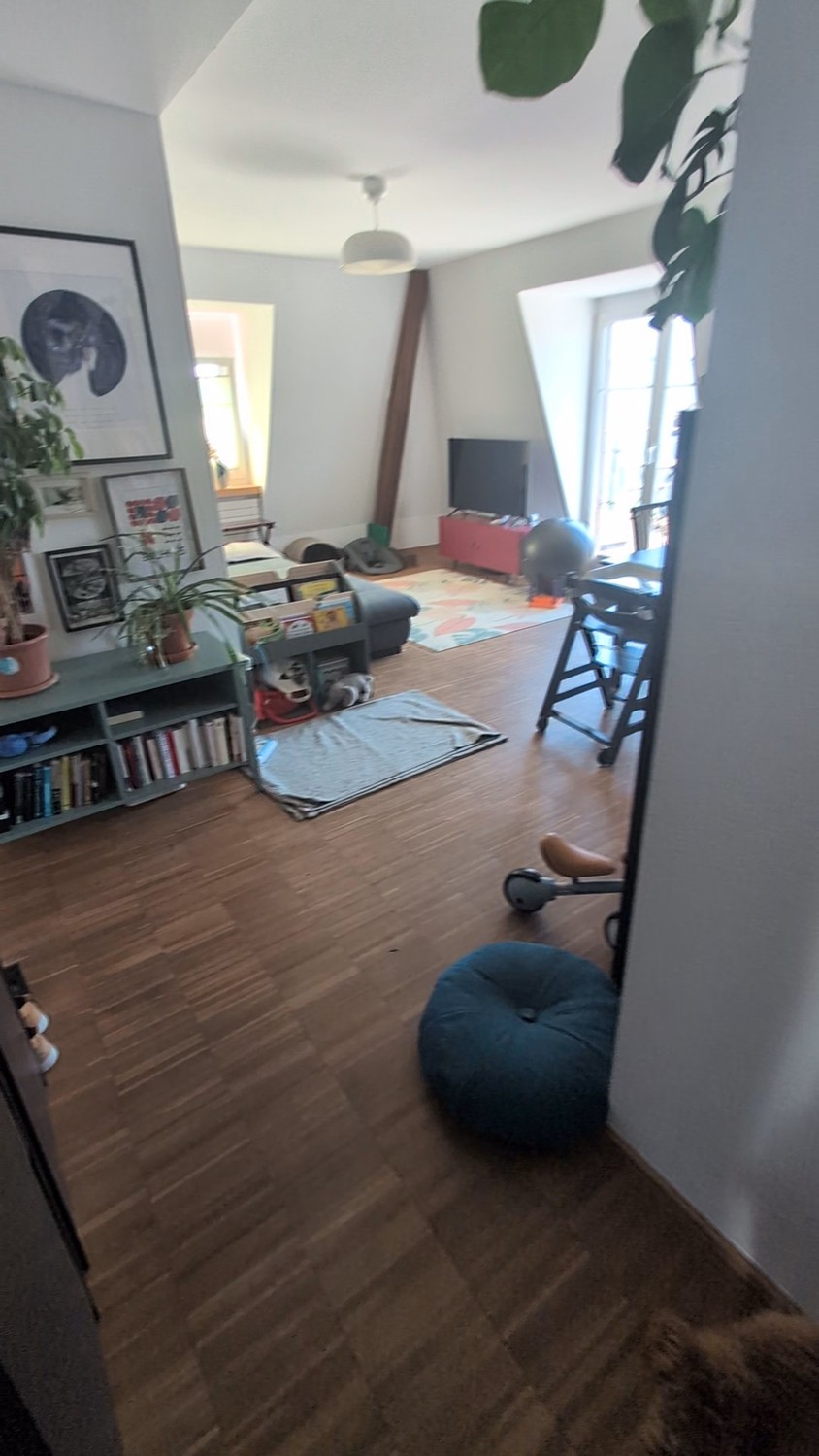 Appartement de 3 ½ pièces