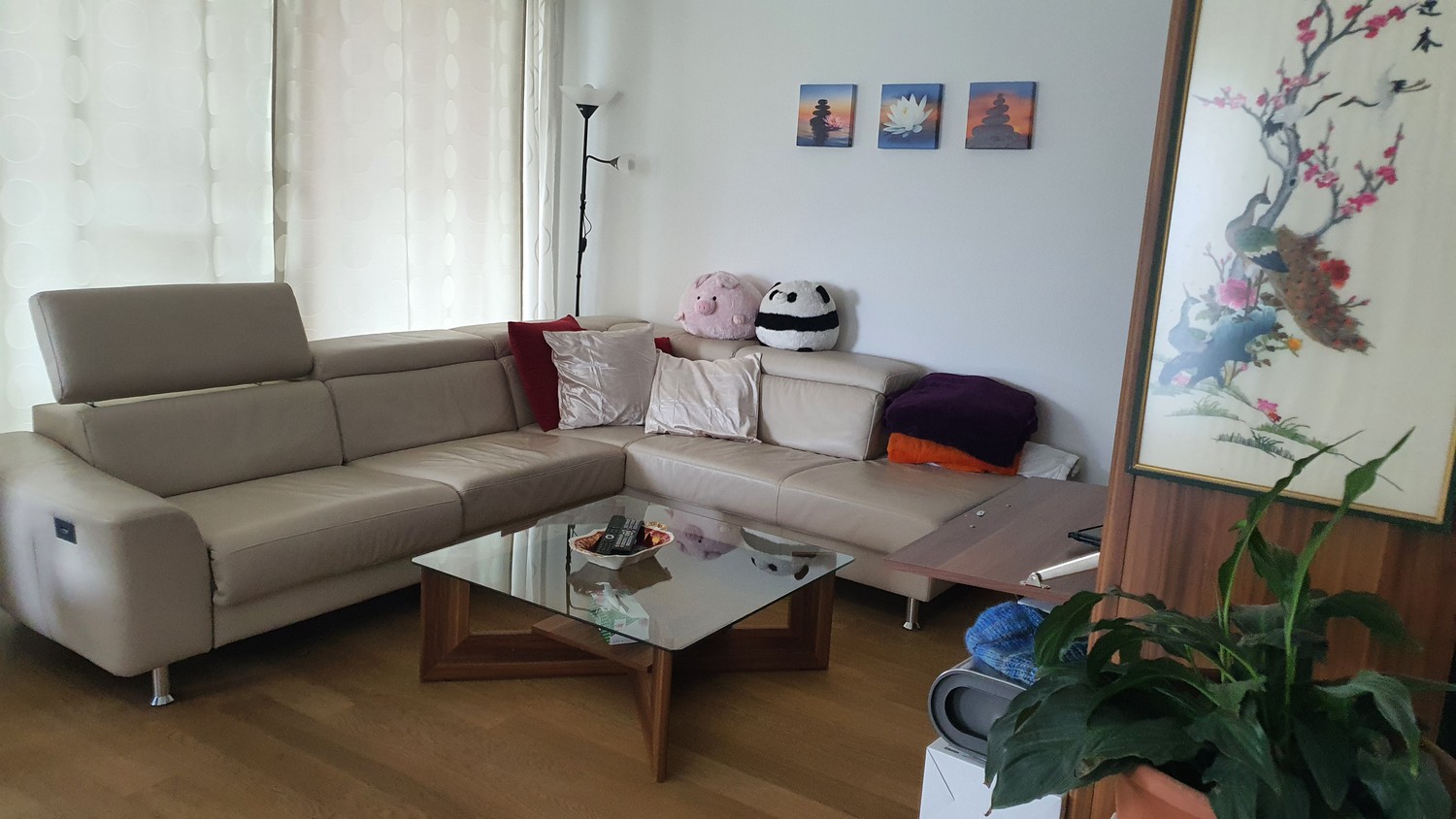 Chambre dans une colocation, photo 7 sur 8