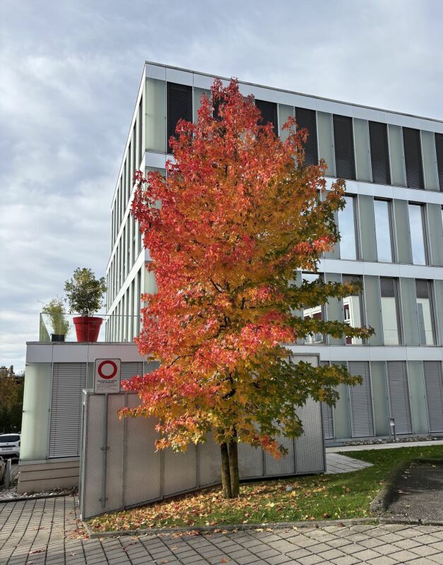 255m² office