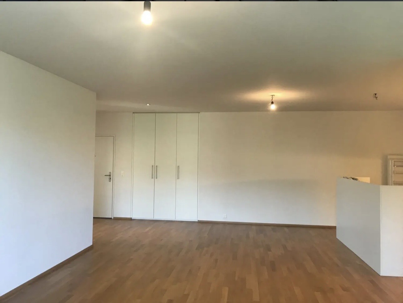 Appartement de 3 ½ pièces