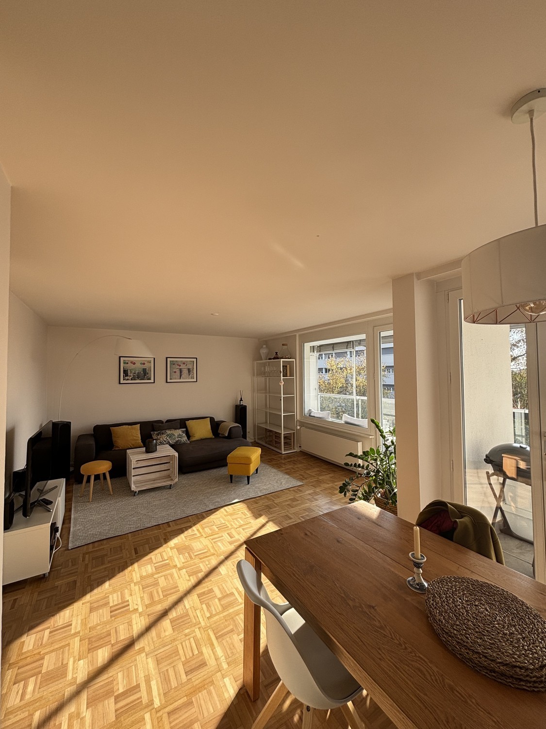 Appartement 3 ½ pièces