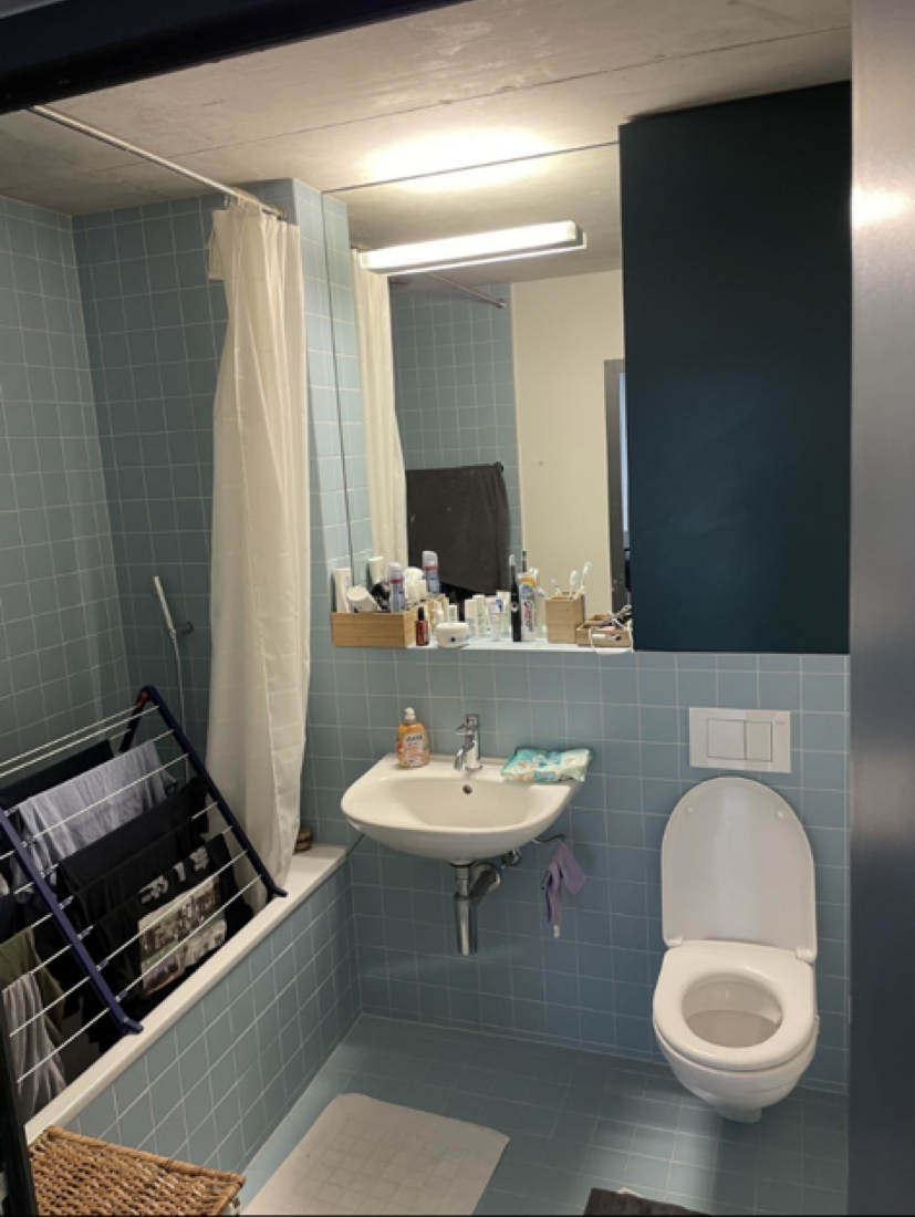 Appartement de 3 ½ pièces
