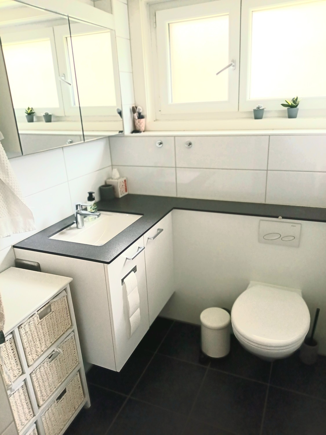 Appartement de 3 ½ pièces