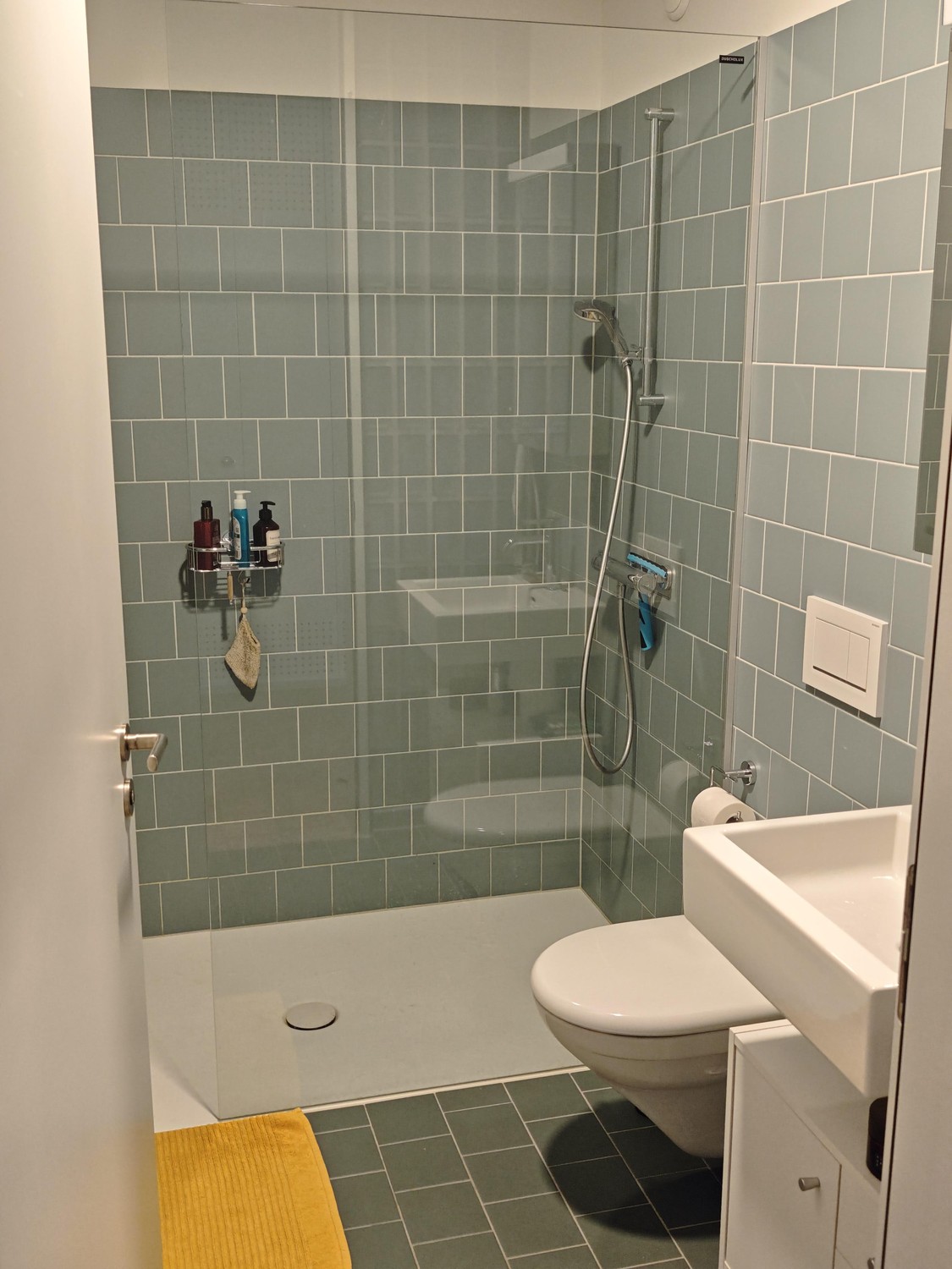 Appartement de 3 ½ pièces