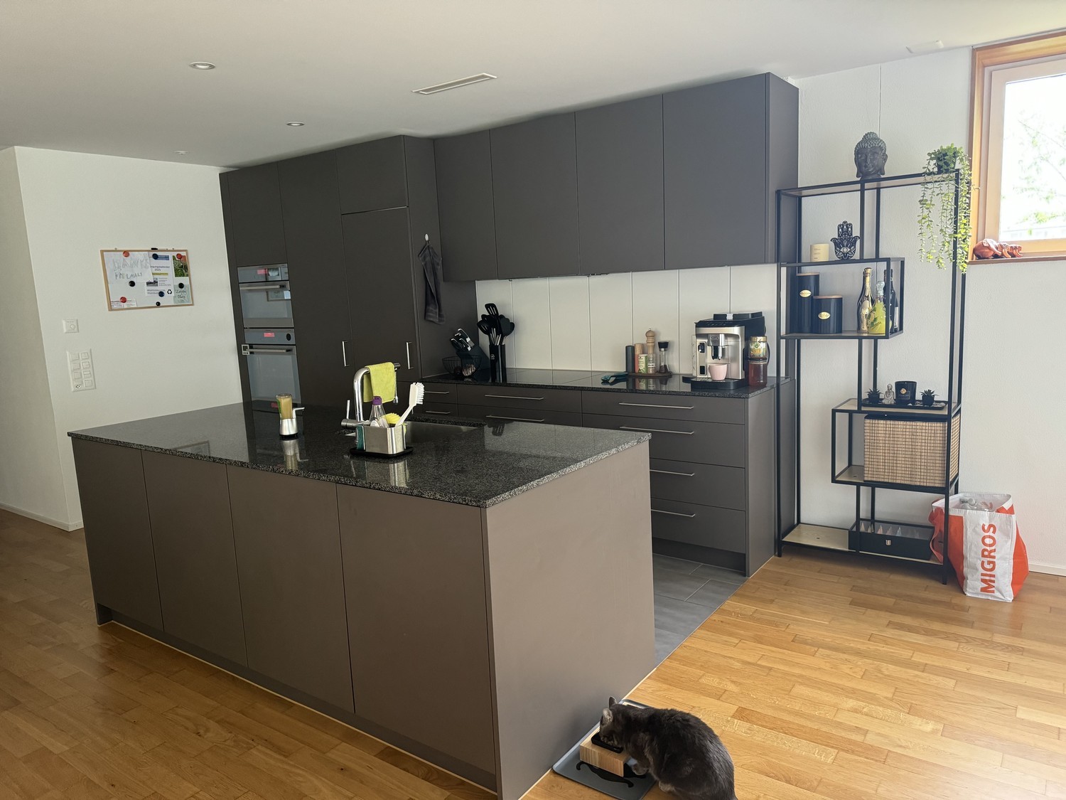 Room in a shared flat
