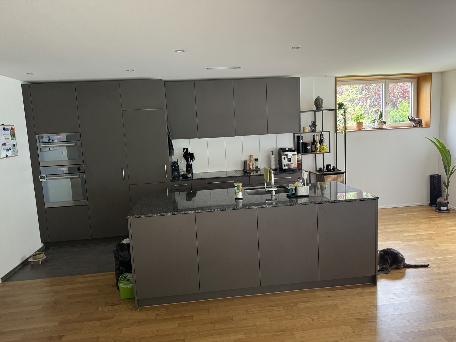 Room in a shared flat