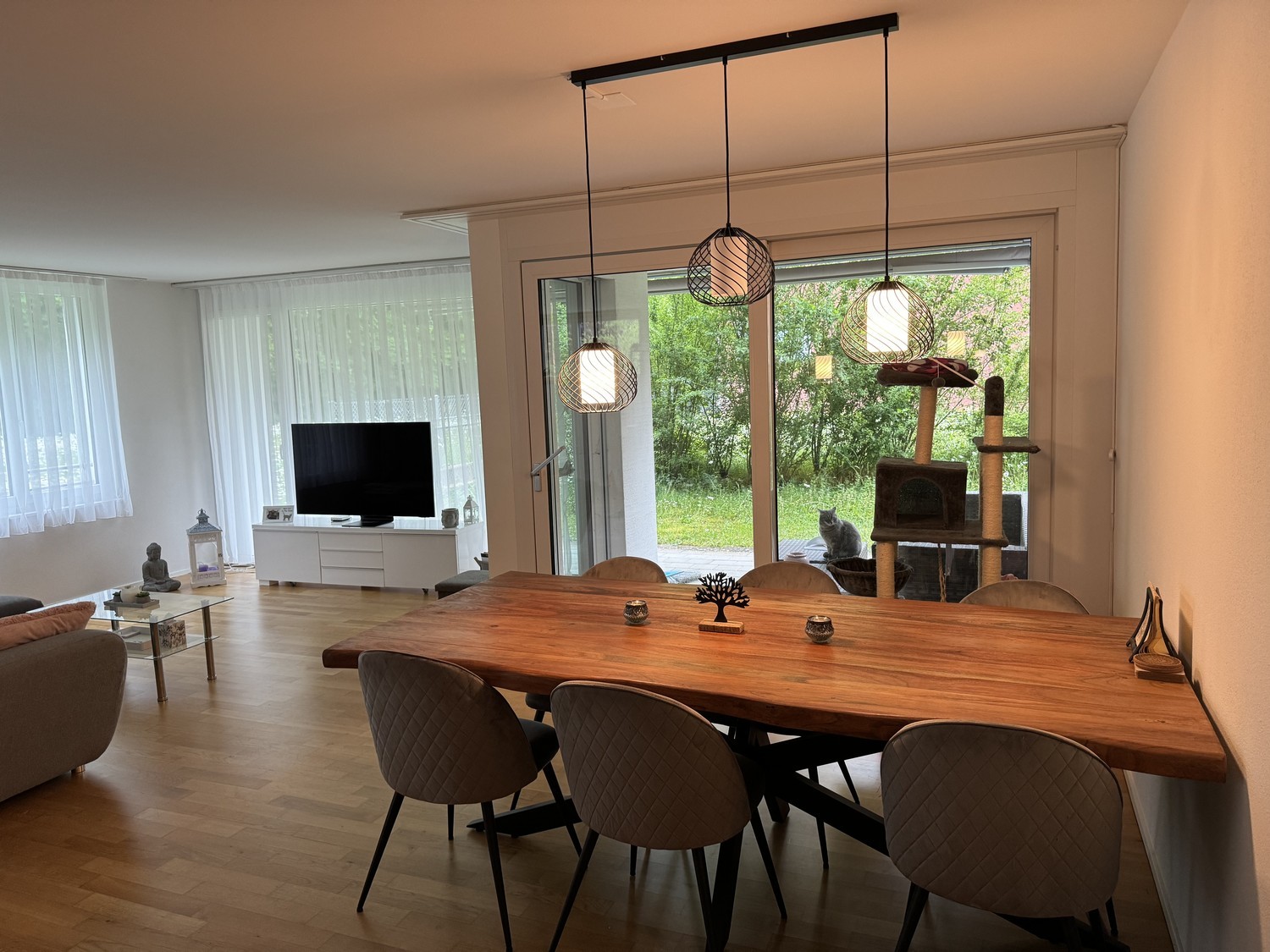 Room in a shared flat