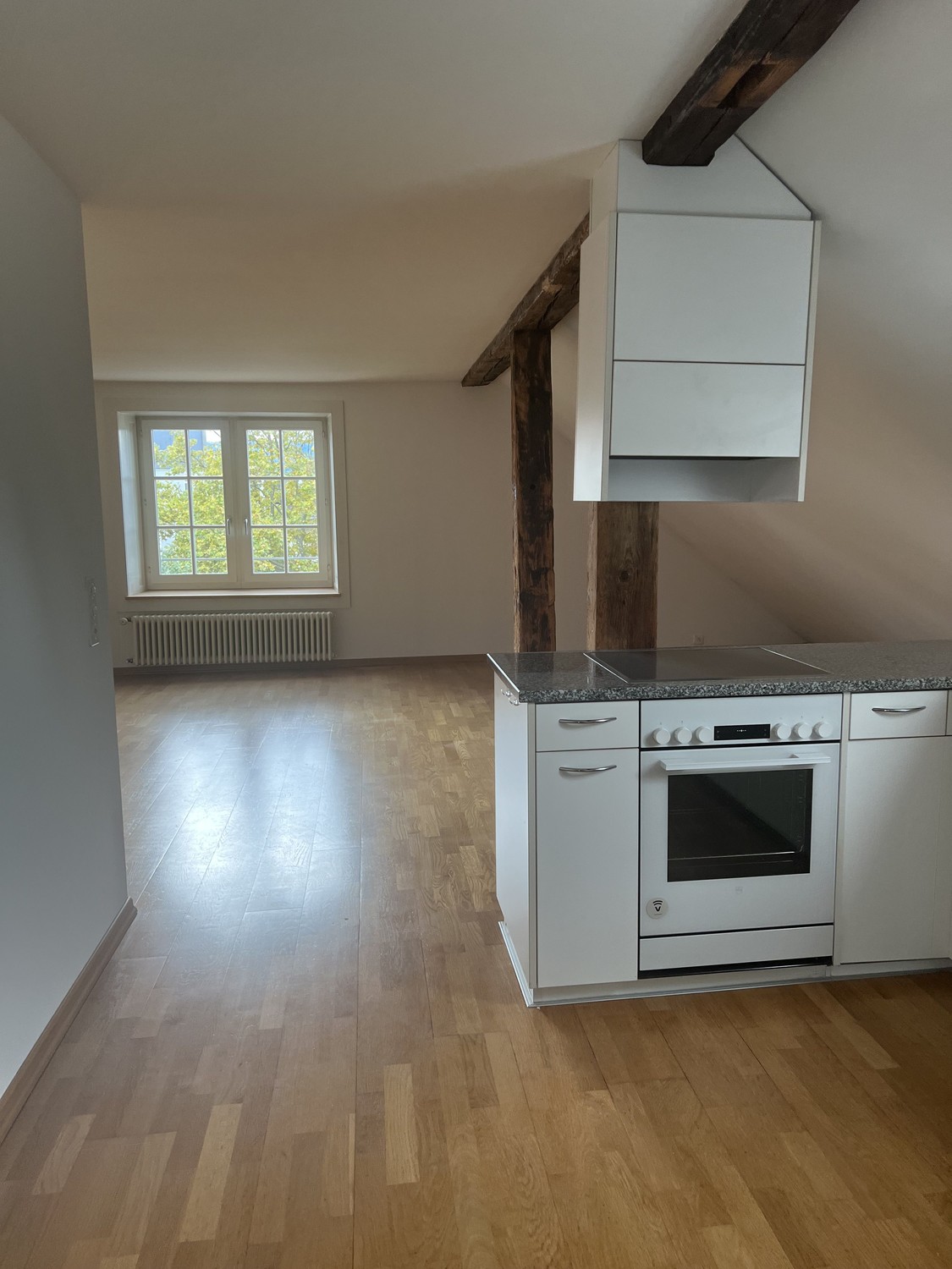 3 pièces sous les combles, photo 1 sur 10