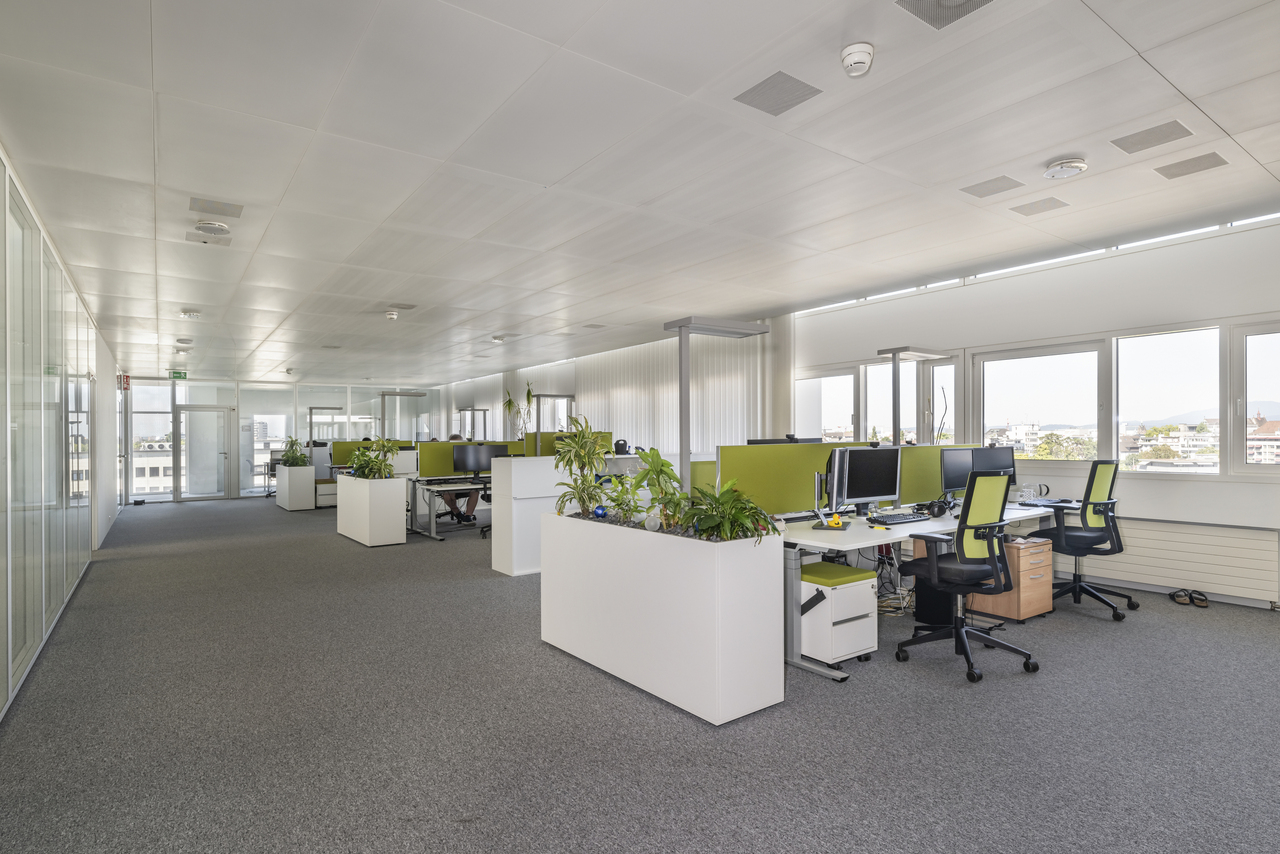 700m² de bureaux, photo 3 sur 10
