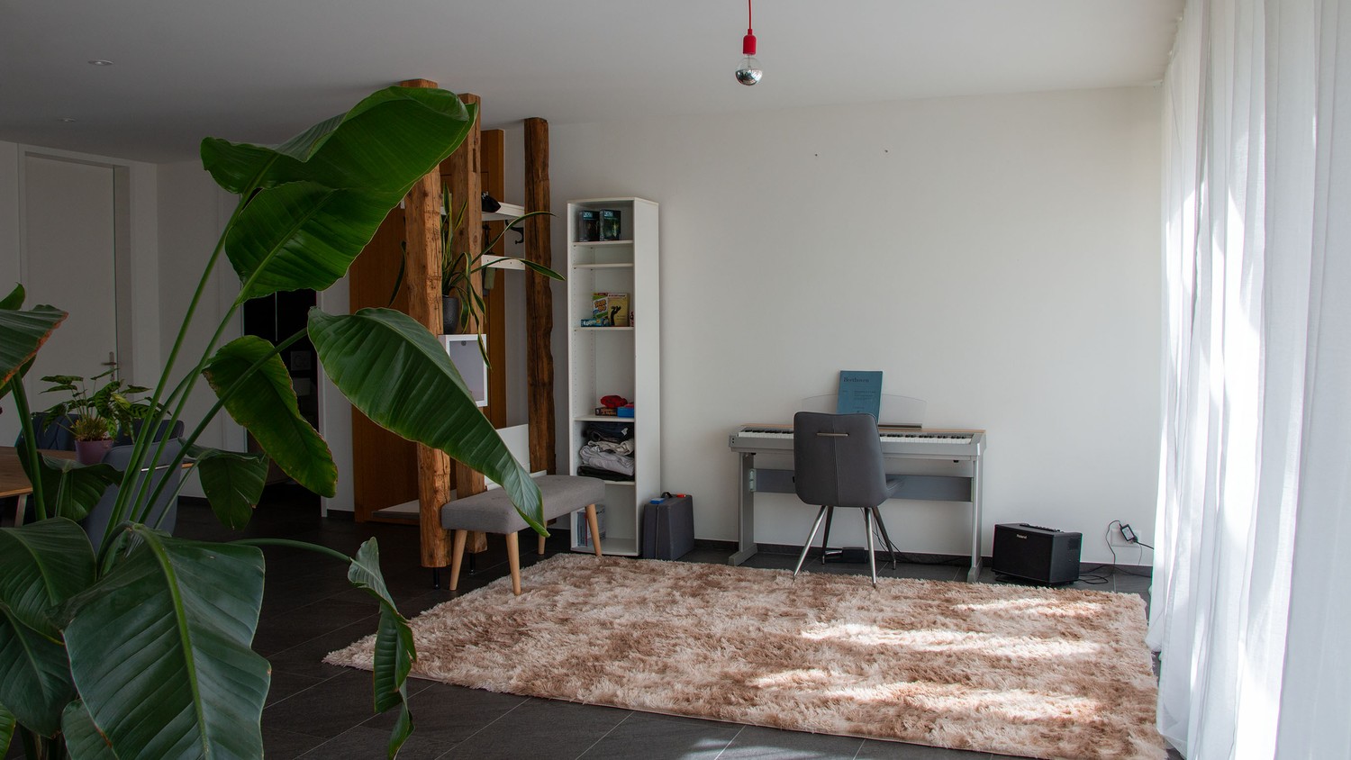Chambre en colocation