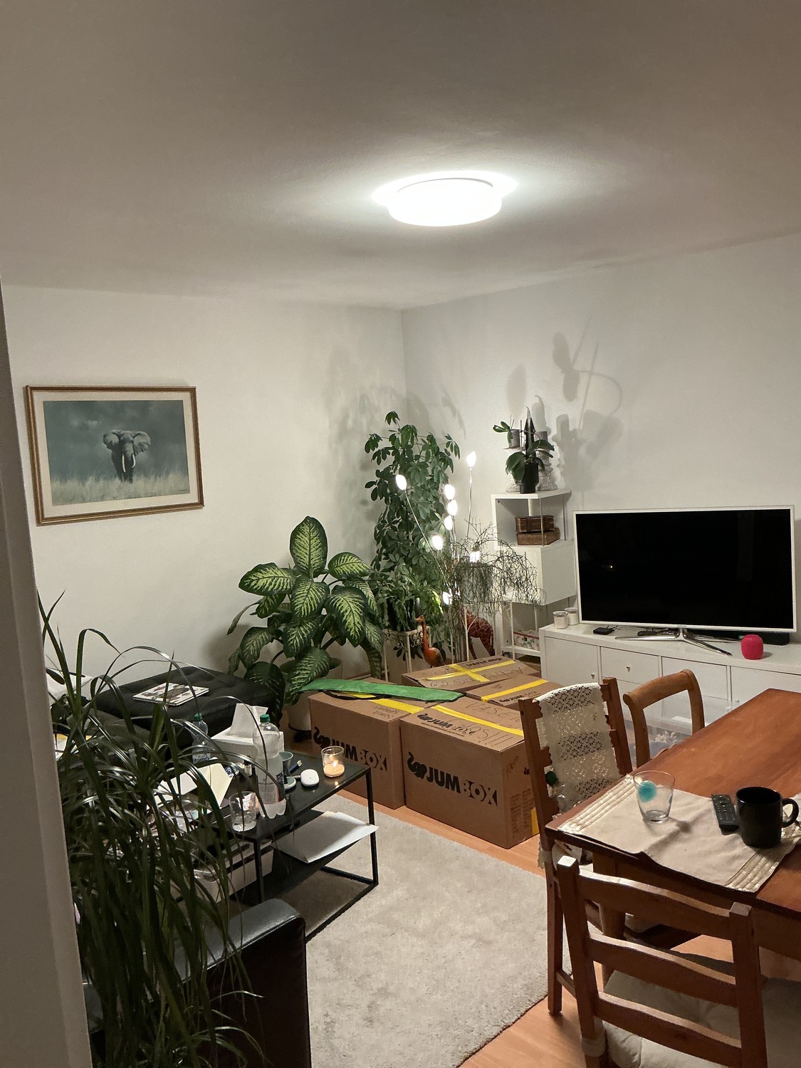 Appartement de 2 pièces, photo 1 sur 6