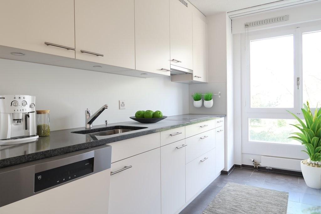 Appartement de 3 ½ pièces
