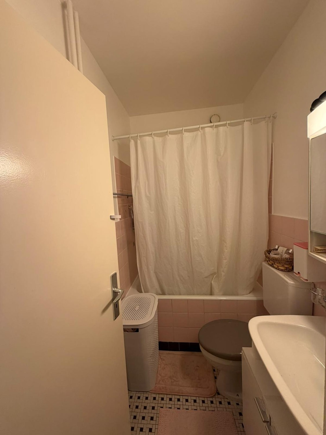 1 ½ rooms apartment, photo 4 sur 6