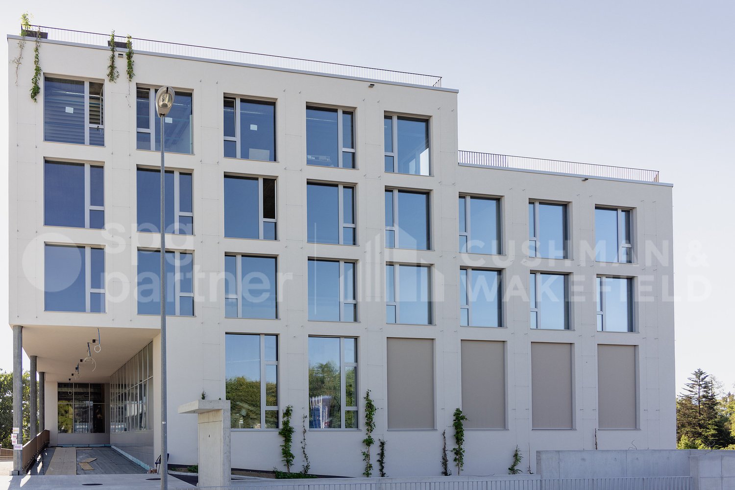 221m² office
