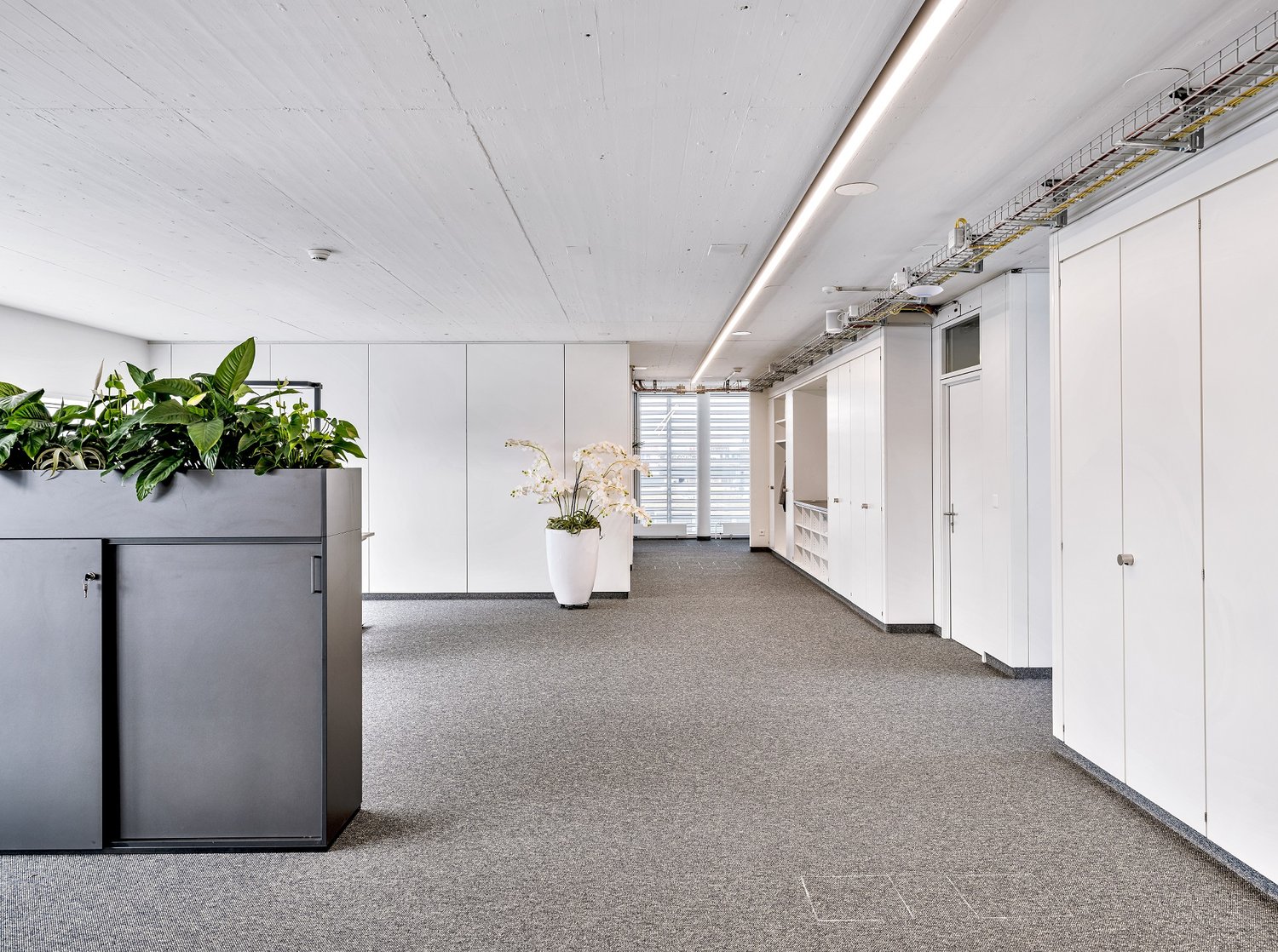 328m² bureau