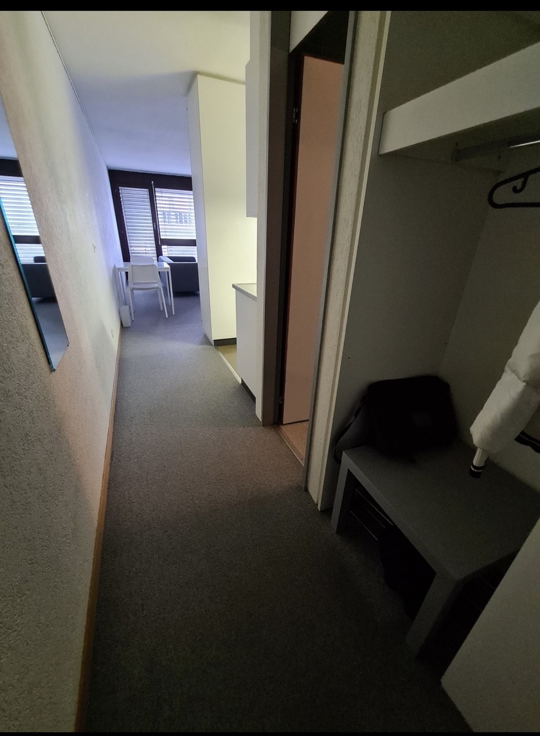 Appartement 1 pièce, photo 3 sur 3