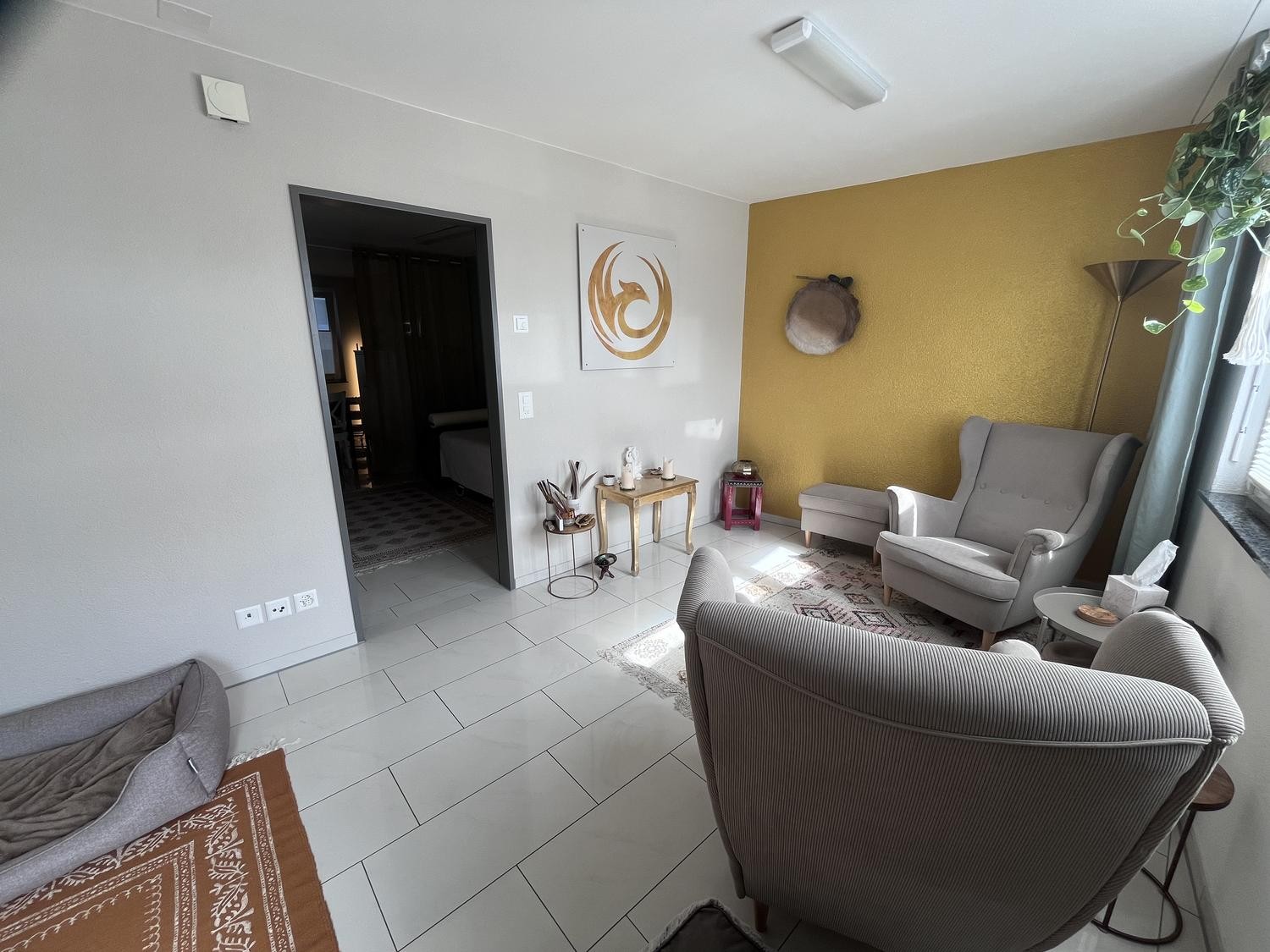 41m² commercial