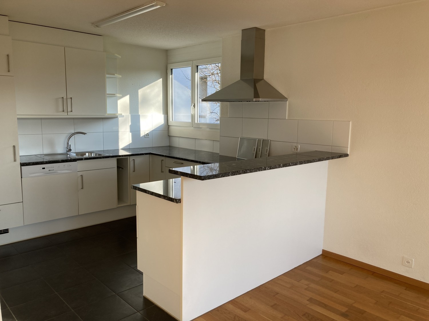 Appartement de 3 ½ pièces