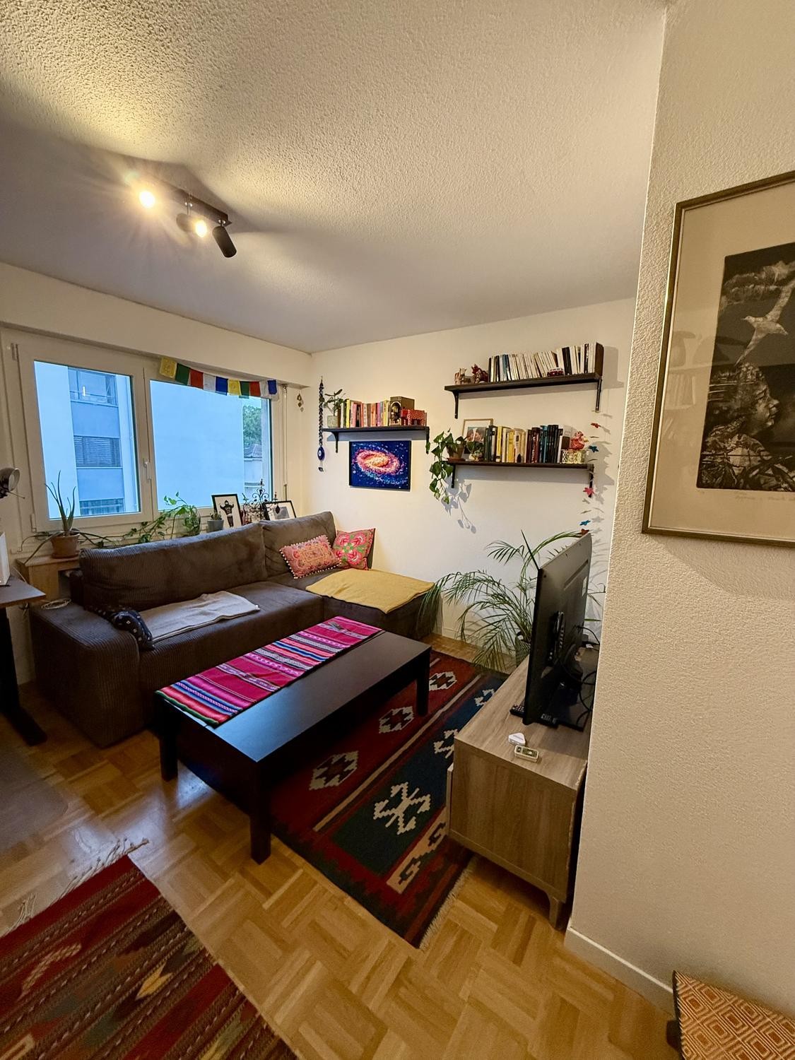 2 ½ rooms apartment, photo 2 sur 7