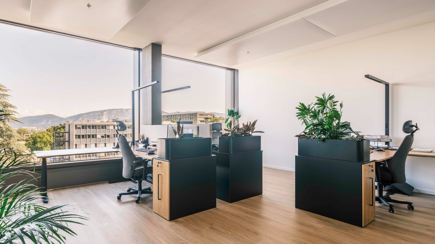 310m² office