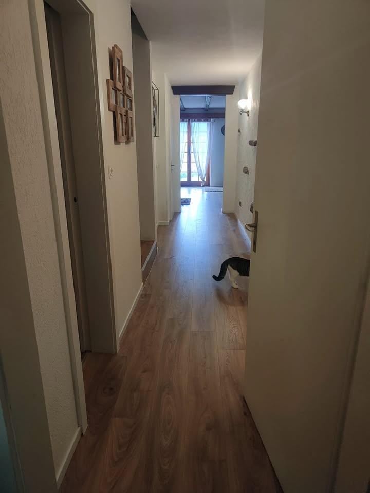Appartement de 6 ½ pièces