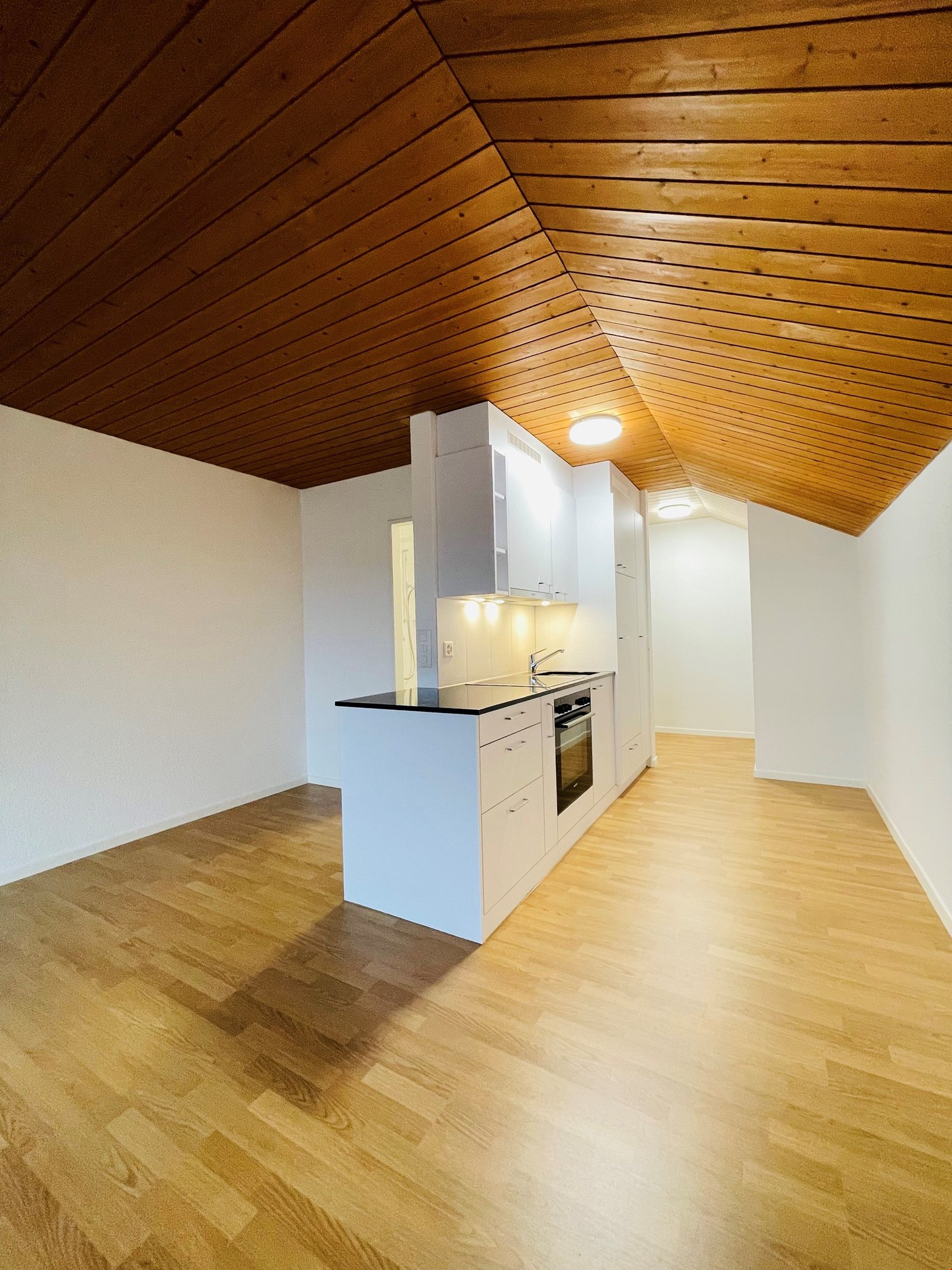 Appartement de 1 ½ pièces