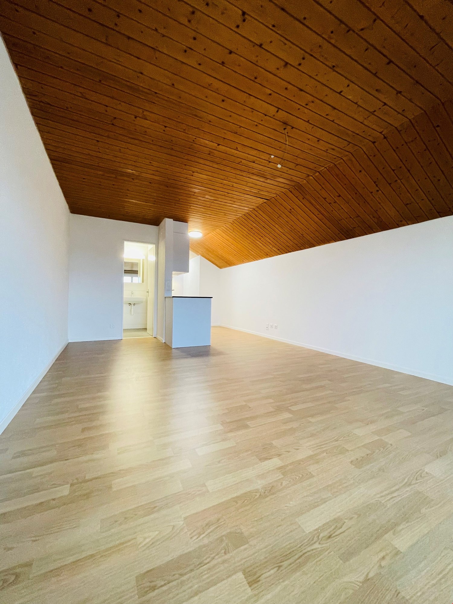 Appartement de 1 ½ pièces