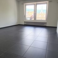 Appartement de 1 ½ pièces