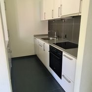 Appartement de 1 ½ pièces