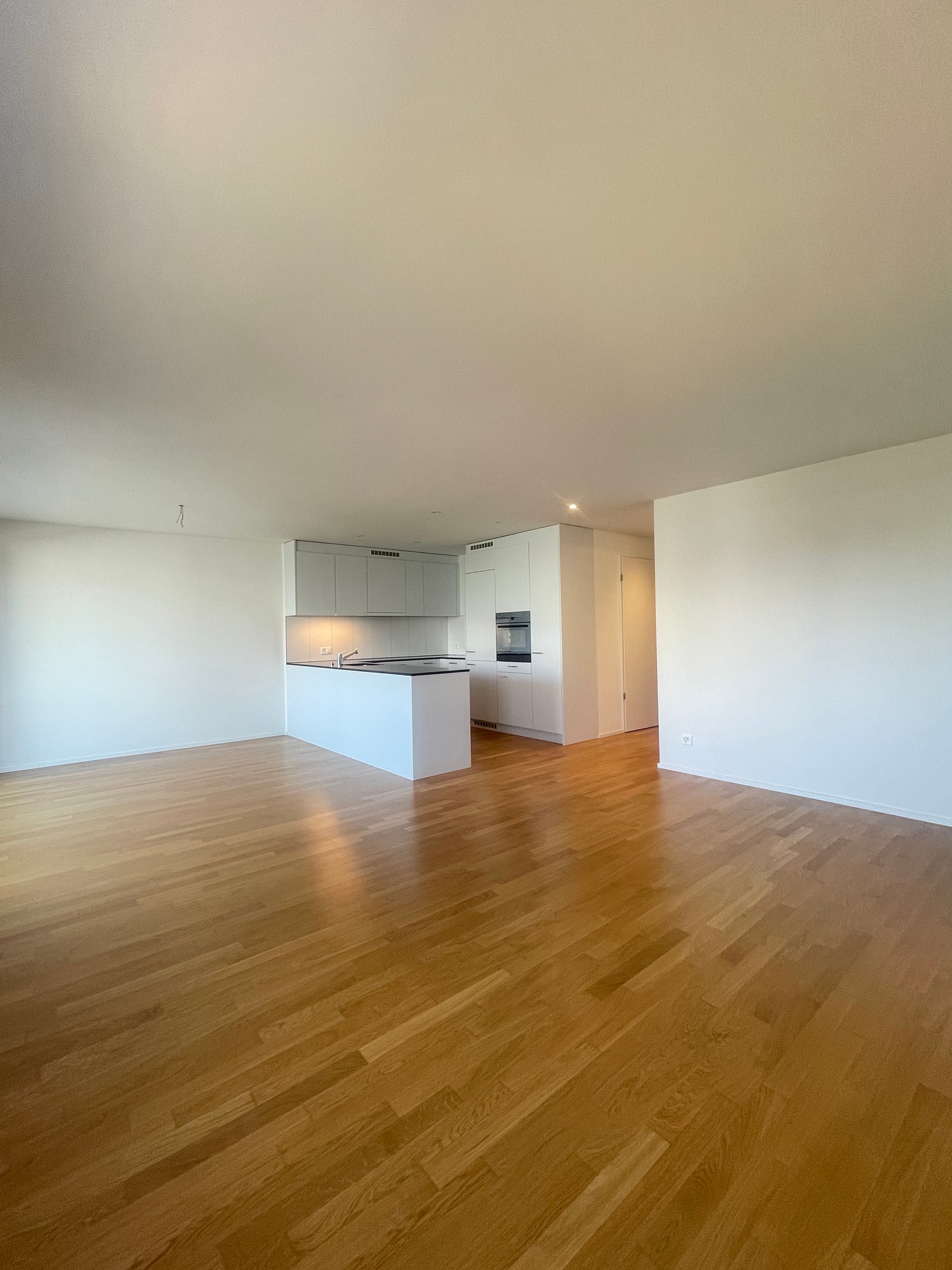 Appartement de 3 ½ pièces, photo 1 sur 10