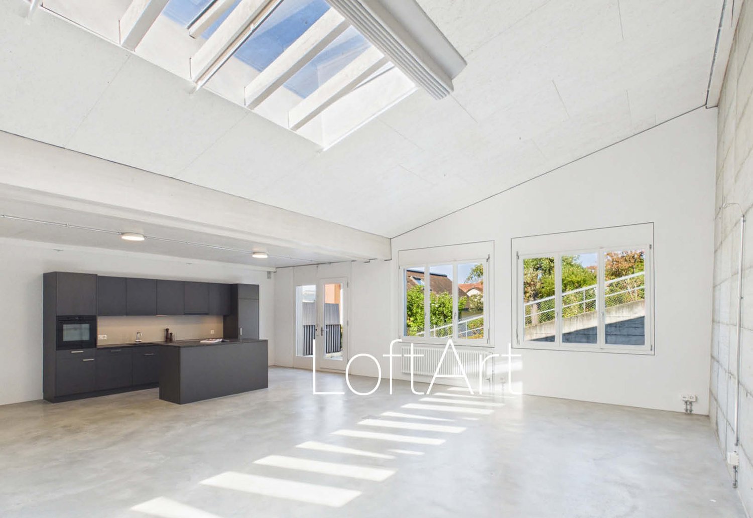 Loft de 3 ½ pièces