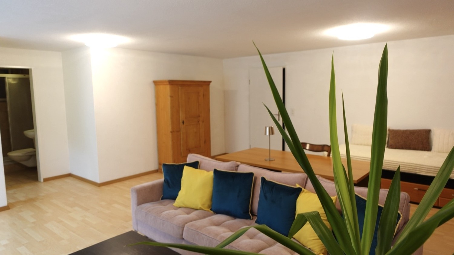 Appartement 1 ½ pièces