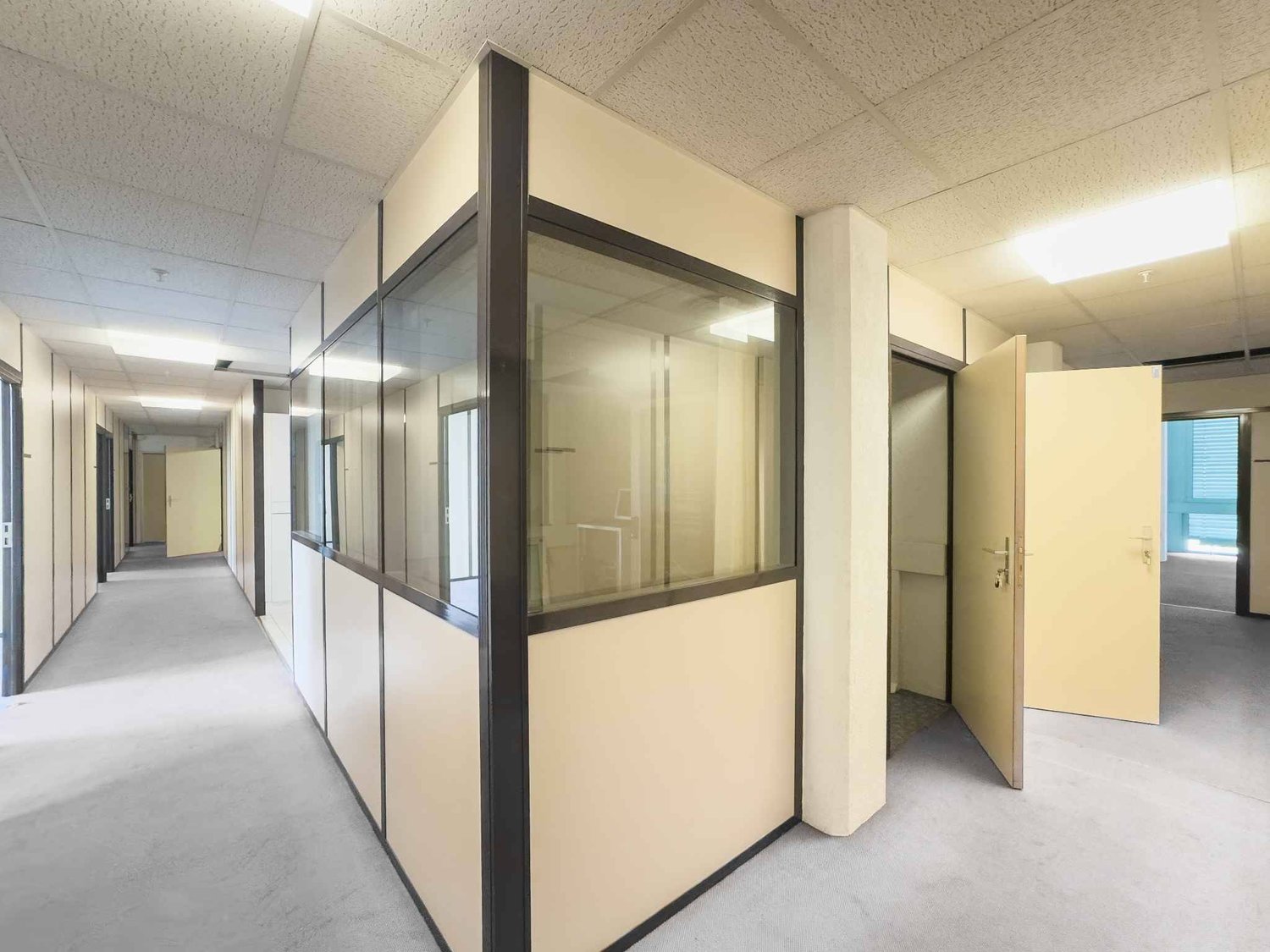 290m² commercial