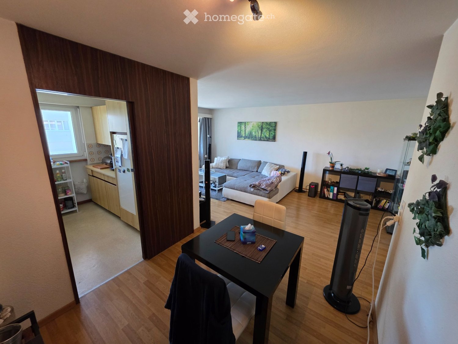 Appartement de 3 ½ pièces